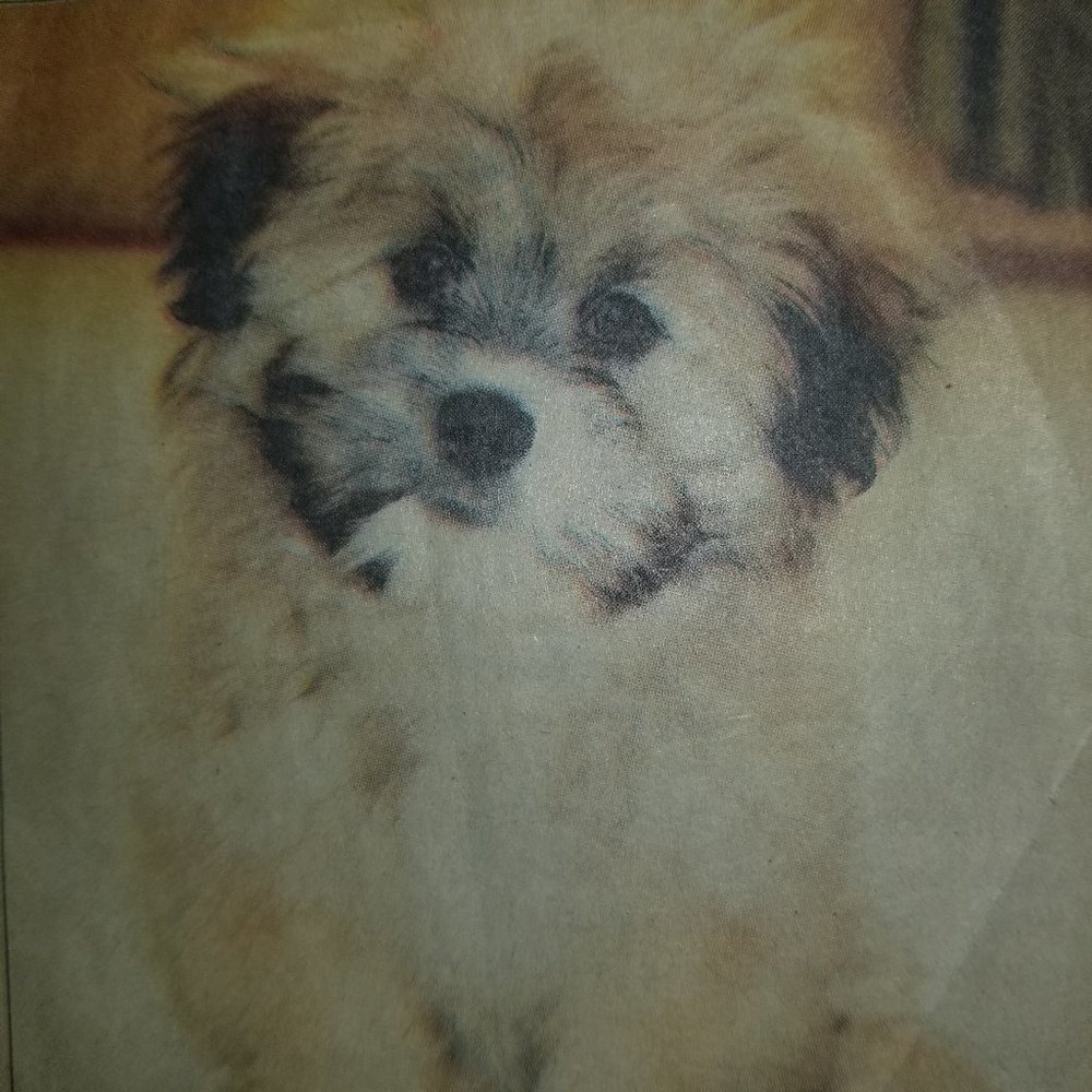 Meet your Posher, Posh